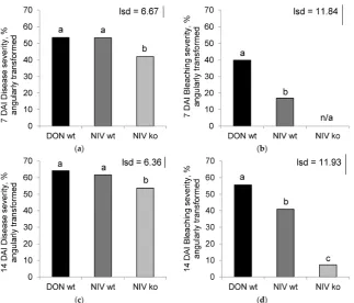 Figure 1. ((DON)-producer; NIV-wt: nivalenol (NIV)-producer; NIV-ko:percentage of spikelets with bleaching