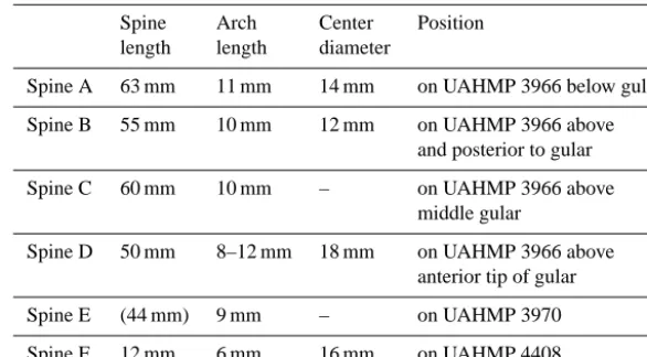 Table 1. Measurements of neural spines of the indet. actinistians from Muhi quarry.