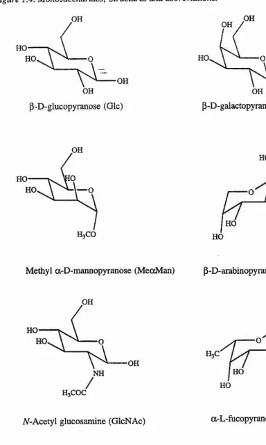 Figure 1.4. Monosaccharides: Structures and abbreviations.