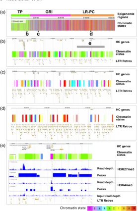 Figure 6. Fine structure of epigenomic features forbarley chromosome 2H.(a) Locations of selected sub-regions from the (b)telomere-proximal (TP), (c) gene-rich interior (GRI)and (d) low-recombining pericentromeric (LR-PC)regions of barley chromosome 2H are