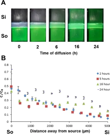 Figure S2. Faithful diffusion of Fluorescein using the ARM compartmentalized 