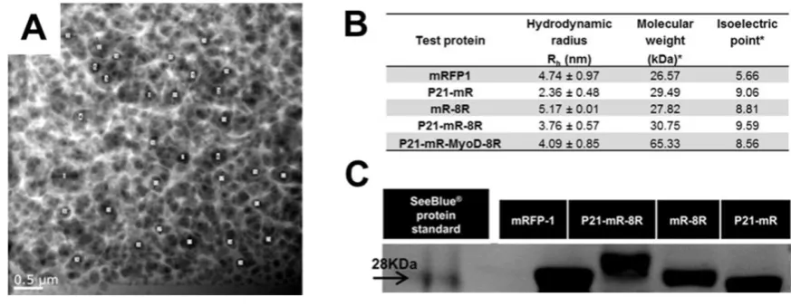 Figure S4. Determination of the characteristic features of GA hydrogels and 