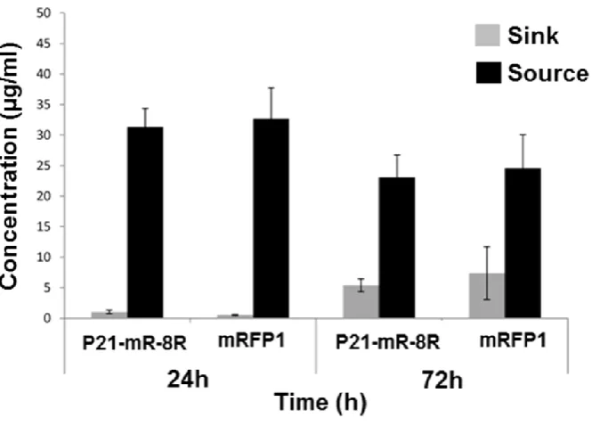 Figure S7. Monitoring of protein concentrations in the source and sink 