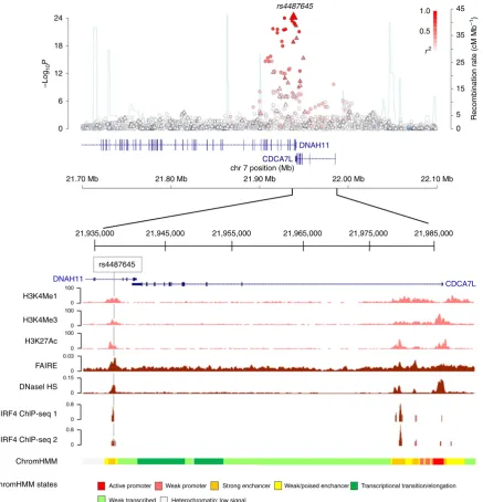 Figure 1 | Genetic mapping and epigenetic landscape at the 7p15.3 locus. Manhattan plot of 7p15.3 is shown with genotyped (triangles) and imputedDNaseI HS studies and chromatin state segmentation track (ChromHMM), with called peaks on two replicates of IRF