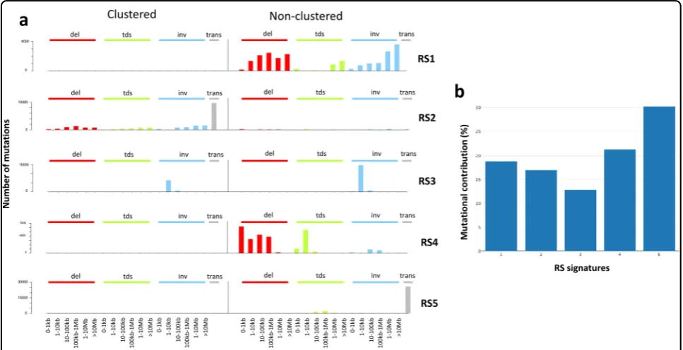 Fig. 1 De novo structural rearrangements signatures. a Five de novo structural rearrangement signatures (RSs) extracted in multiple myeloma