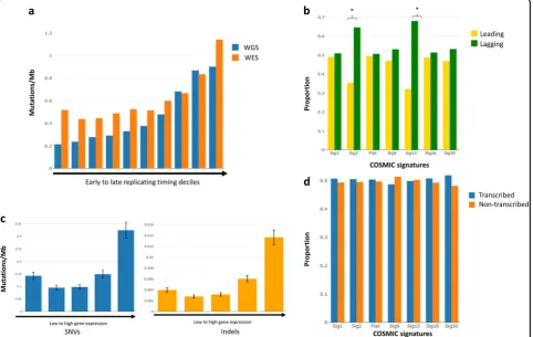 Fig. 2 Relationship between replication and transcription in mutational processes. a Mutation rates across different DNA replication timingwhole-genome sequencing; WES: whole-exome sequencing; SNVs: single-nucleotide variants; FPKM: fragments per kilobase 