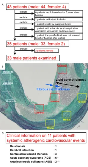 Figure 1. Methods of the present study. A. Exclusion criteria of the subjects are illustrated