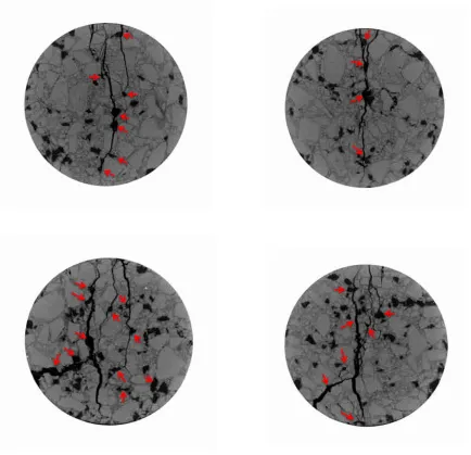 Figure 8: Sample scans of the failed specimens showing crack propagation through rubber particles: Aand B represents the mixtures with 30% and 45% rubber replacement, respectively.