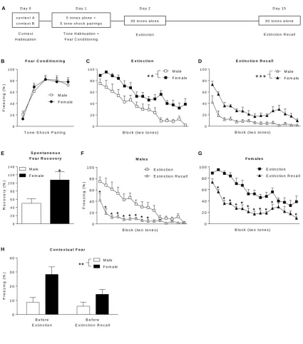 Figure 1. AD a y 0