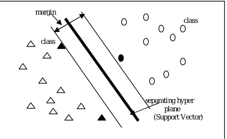 Figure. 2.  SVM  Classification of images 