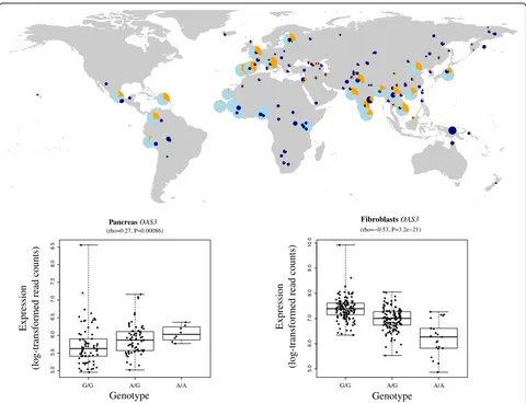 Fig. 4 Global frequency distribution of archaic alleles at the OAS gene cluster and differential expression for OAS3