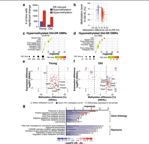 Fig. 4 DNA methylation changes in the mouse liver in response to dietary restriction ((Fisherexpression in young animals (Fisherdifferentially methylated genes in each quadrant is indicated inand reactome enrichment of genes with a negative correlation of 