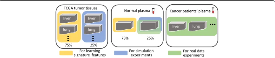 Fig. 6 Illustration of the data partition for learning discriminating features, in both simulation and real data experiments