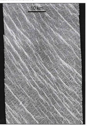 Fig. 1.2. The ‘Gridded Plains’ of Guinevere Planitia. Image centred at 30N333. North is The brighter, NW-SE trending features are interpreted as extensional features such asup