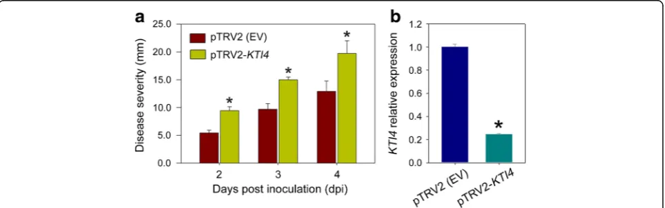 Fig. 11 KTI4 does not inhibit SlVPE3 proteolytic activity.(benthamiana a Determination of vacuolar processing enzyme (VPE) activity in tobacco (N.)