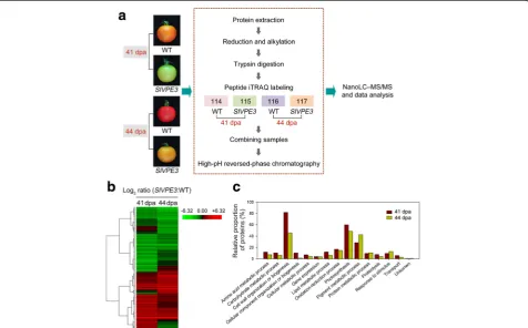 Fig. 4 Quantitative proteome analysis reveals the potential targets of SlVPE3.quantification ( a Workflow of the quantitative proteome analysis