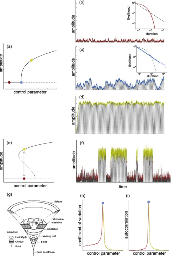 Fig. 1. Criticality in a low dimensional system consisting of a few interacting components