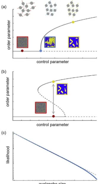 Fig. 2. Phase transitions and avalanches in spatially extended systems. (a) Continuous (or second order) phase transition