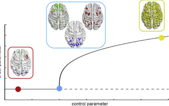 Fig. 3. Proposed role of criticality in large-scale, resting-state brain dynamics. In the sub-critical region, individual brain regions are effectively uncoupled, showing a lack of integration (red square)