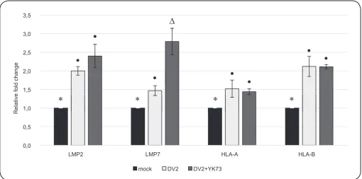 FIGURE 1. Gene expression profiles of LMP2, LMP7, HLA-A, and HLA-B. HepG2 cells were cultured under three different conditions: I) infected with mock infection media (negative control), II) infected with DV2, and III) infected with DV2 and treated with ant