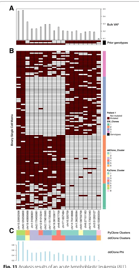 Fig. 11 Analysis results of an acute lymphoblastic leukemia (ALL)dataset [12]. Analysis results of a patient with ALL (Patient 1) [12]