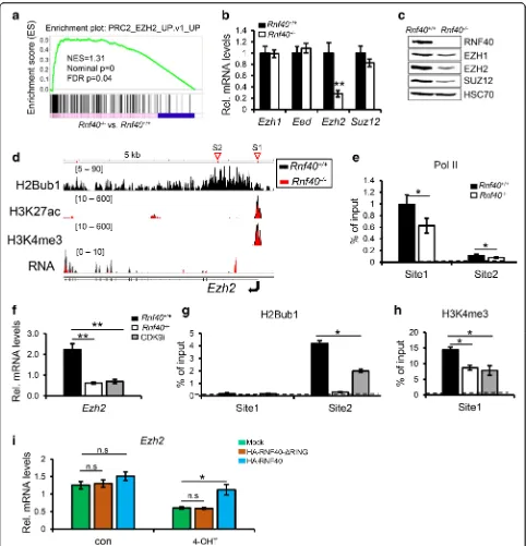 Fig. 5 The CDK9-RNF40-H2Bub1 axis controls Ezh2 expression. a GSEA of mRNA expression data reveal a significant enrichment of EZH2-suppressedgenes (in TIG3 cells) in genes upregulated in Rnf40–/– MEFs