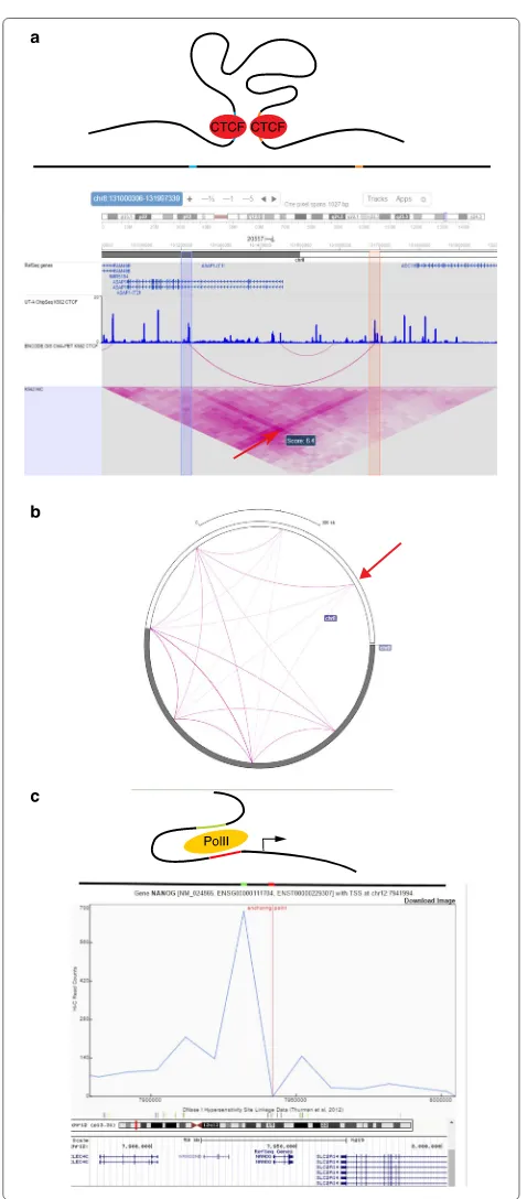 Fig. 2 Local visualization modes.the promoter and enhancer elements, respectively. Below thecartoon representations, a virtual 4C plot from the three-dimensionalgenome browser is shown, which visualizes the Hi-C signal aroundthe NANOG promoter with a 1D re
