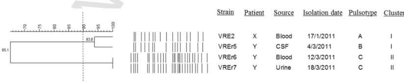 Fig. 1. Dendrogram showing the cluster analysis of four VREfm strains based on PFGE patterns of the SmaI-digested chromosomal DNA