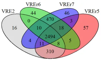 Fig. 2. Venn diagram showing the distribution and number of core, dispensable andstrain-specific genes of the Malaysian VREfm strains