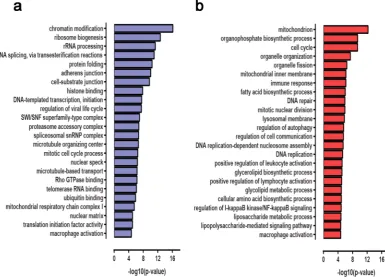 Figure 4. Functional categories enriched among differentially expressed genes in ASO II- and LPS-stimulated cells relative to control LPS-stimulated cells
