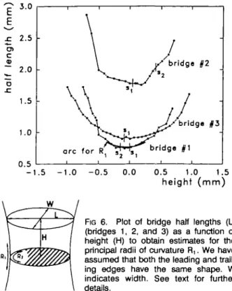 FIG 6. Plot of bridge half lengths (L) (bridges 1, 2, and 3) as a function of height (H) to obtain estimates for the principal radii of curvature R,