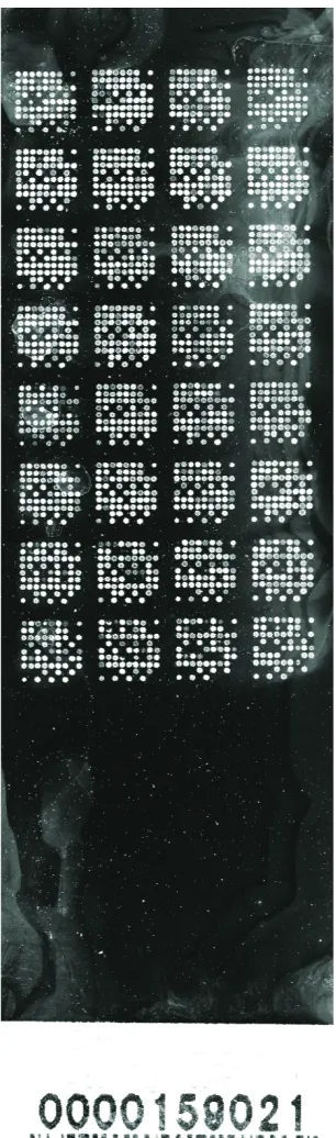 Figure 3POPO-3 iodide staining of mouse TestisSlide array. POPO-3iodide was diluted 1:10,000 in water