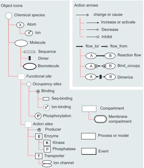 Figure 1A basic lexicon of icons and arrows for describing thefunction of complex biological systems using BioD