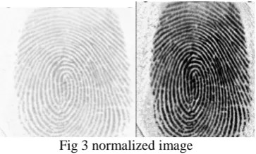 Fig 3 normalized image 