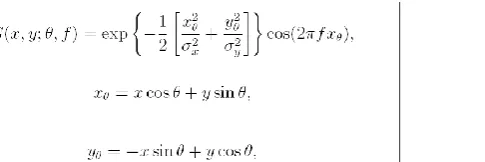 Figure .7 Gabor filter  In order to get the output image as shown in the enhanced image above, we need to carry out binarization of the image