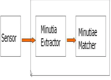 Figure 13 Minutia Extractor For the fingerprint image preprocessing stage, I use Histogram Equalization and Fourier Transform to do image enhancement 