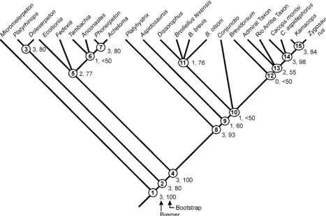 Figure 5. Phylogeny of dissorophoids based on the present PAUP analysis. Outgroup: Sclerocephalus