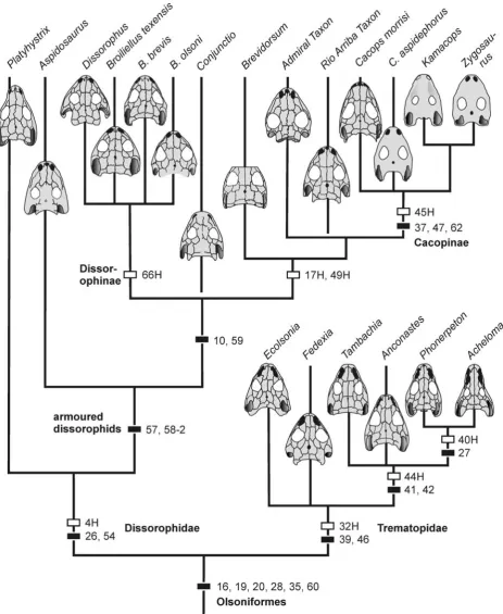Figure 6. Phylogeny of dissorophids and trematopids as found in the present analysis. Support by unambiguous synapomorphies(black rectangles) and homoplasies (white rectangles) mapped on nodes.