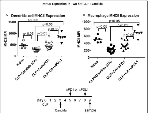 Figure 8 Anti-PD-1 and anti-PD-L1 increase MHC II expression on dendritic and macrophages in fungal sepsisperformed.The mean fluorescence intensity (MFI) of dendritic cell and macrophage MHC II was decreased in fungal sepsis compared to naïvemice (