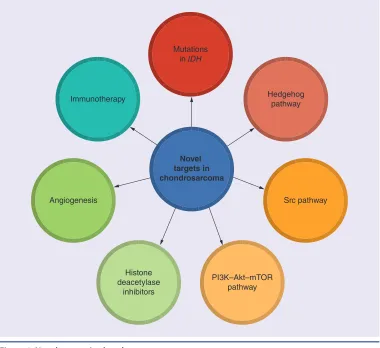 Figure 1. Novel targets in chondrosarcoma.