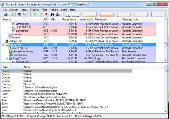 Figure 2. The Process Explorer main window 