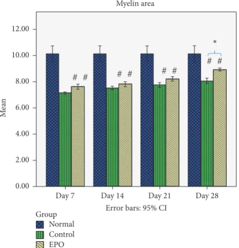 Figure 7: Mean myelinated fibre area. The graph shows the value ofthe mean myelinated fibre area of the sciatic nerve with standarddeviations (vertical bars)