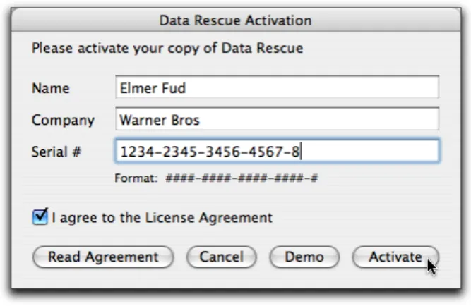 Figure 2: Activation Window