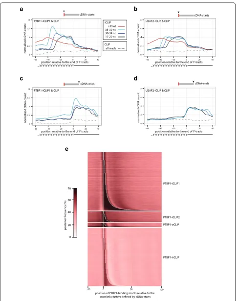 Fig. 5 (See legend on next page.)