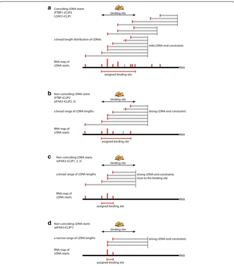 Fig. 8 (See legend on next page.)