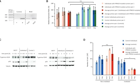 Figure 2.Functional Effects of PPM1D Mutations at the RNA and Protein Levels and Downstream Effects on p53 Activation and Cell
