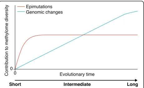 Fig. 3 We propose a heuristic model whereby genomic changesand spontaneous epimutations occur simultaneously, and contributeto interspecific or intraspecific methylome diversity over evolutionarytime