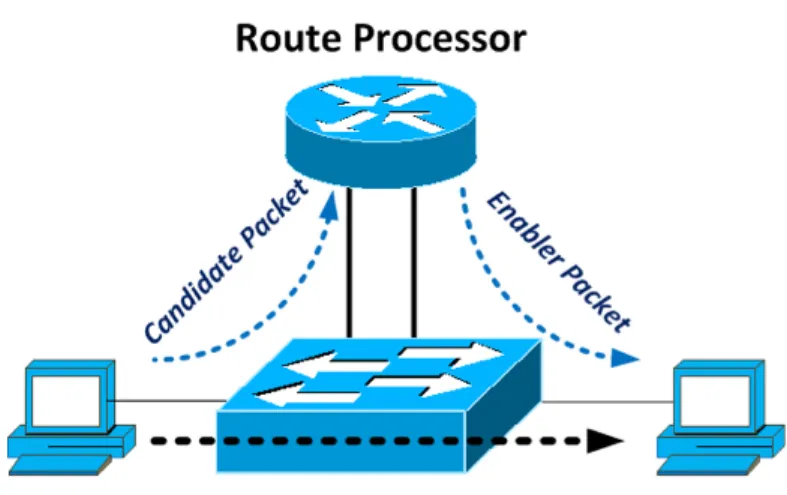 Figure 2: Multilayer (Netflow) Switching Process 