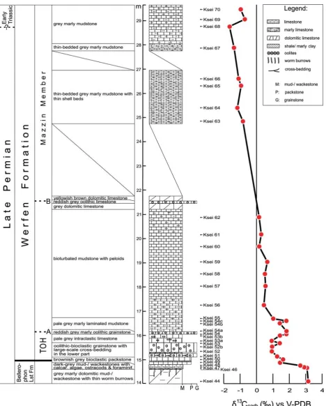 Figure 3. Seis/Siusi section, showing lithology, sample locations, and carbon isotope values for bulk carbonates.