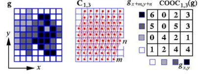 Fig 2. Co-occurrence matrix representation. 